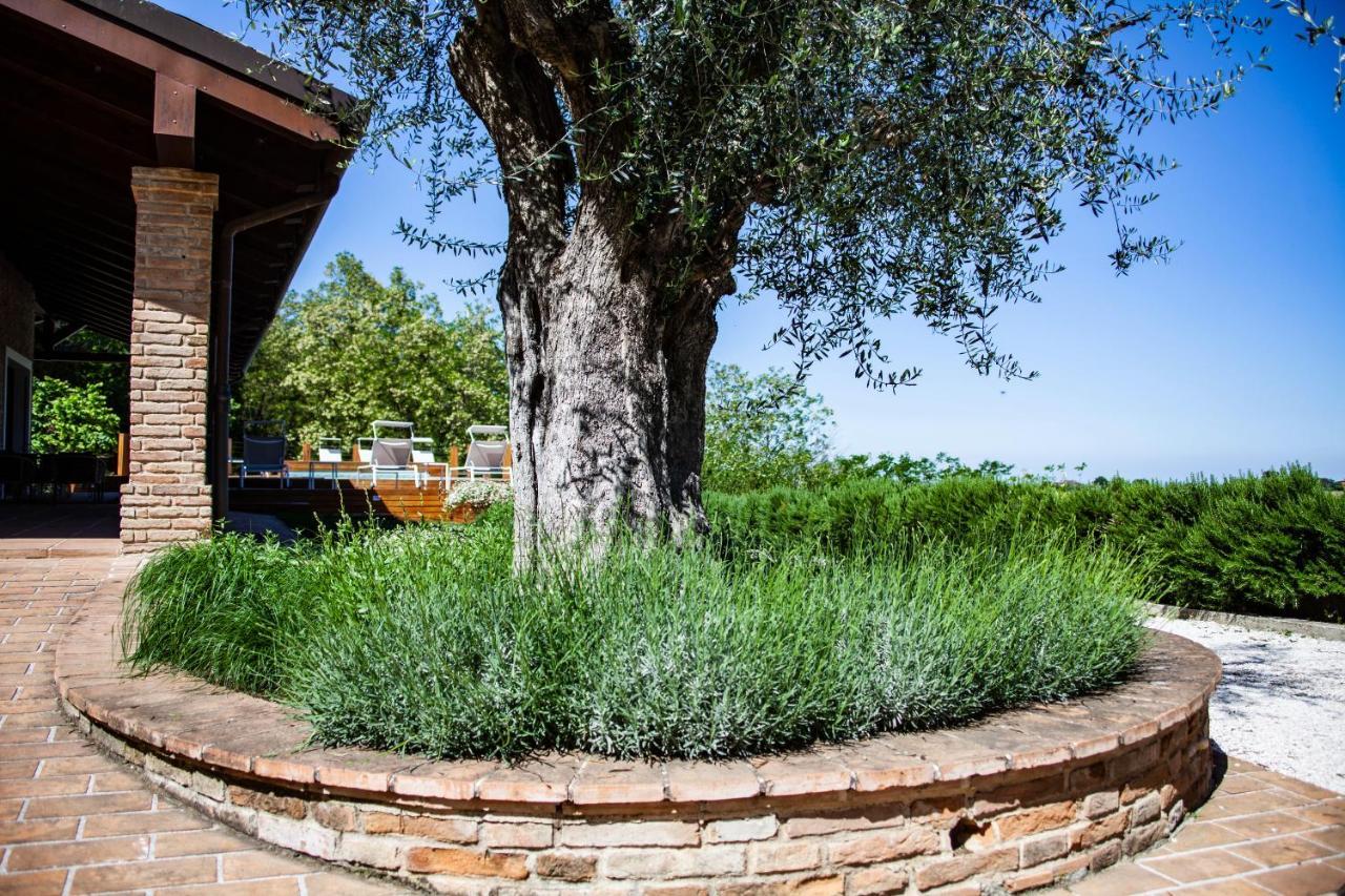 Resort Villa Paola Longiano Екстериор снимка