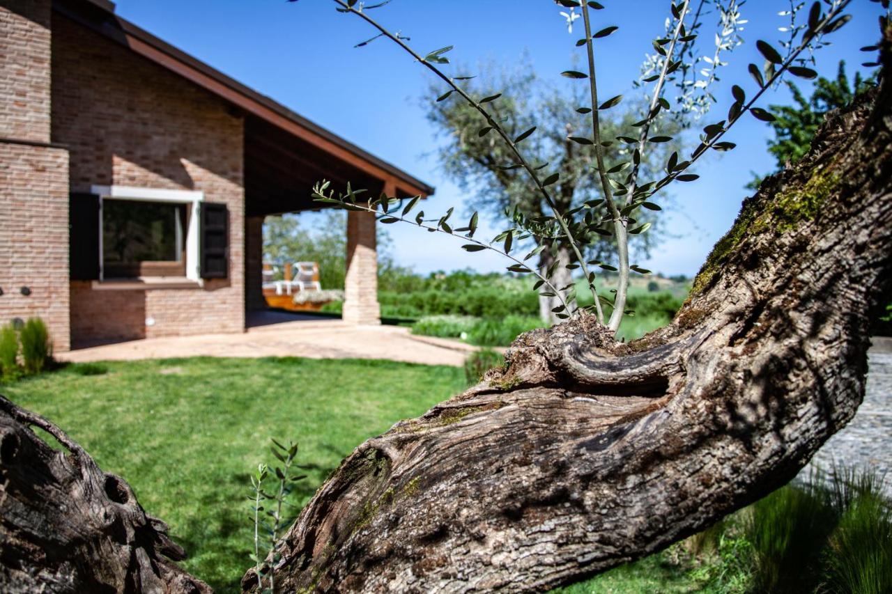 Resort Villa Paola Longiano Екстериор снимка